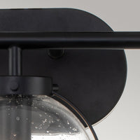 Hinkley Hollis 3 Light Wall Light in Black & Clear Glass