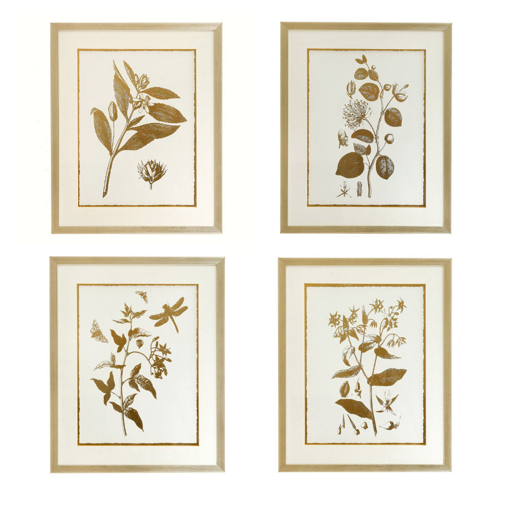  MindyBrown-Mindy Brownes Set of 4 Summer Prints-Gold 525 