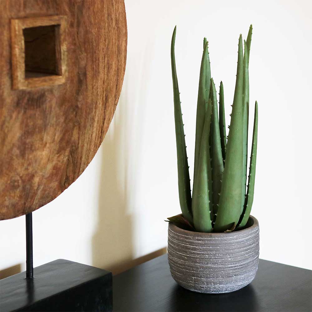 Olivia's Large Faux Aloe Vera With Cement Pot