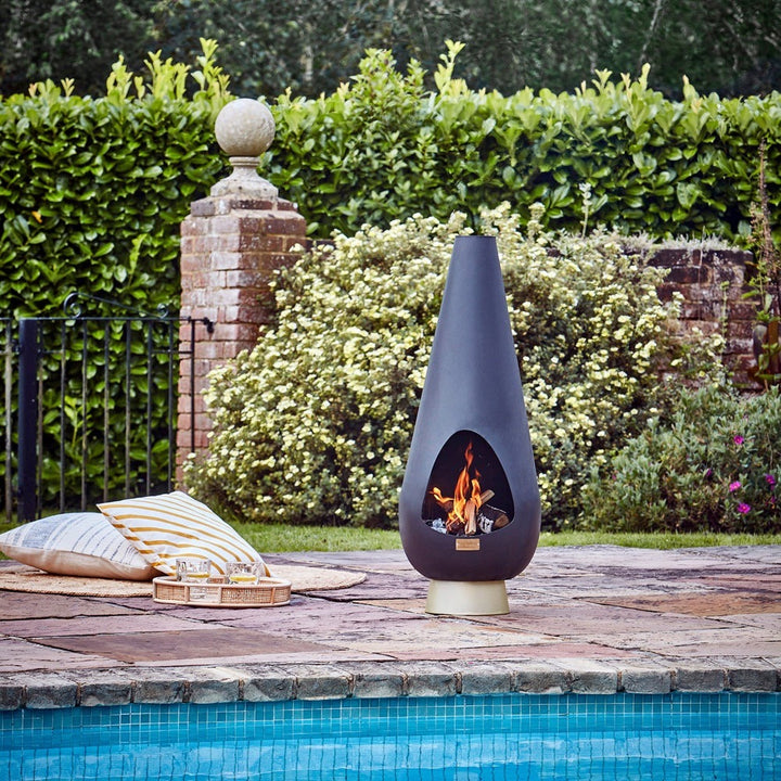 Outdoor Leo Fireplace - Matt Black & Antique Gold Ivyline 2