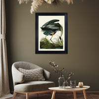 The Art Group John James Audubon Great Blue Heron Pre Framed - 60x80cm