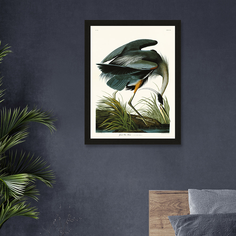 John James Audubon Great Blue Heron Pre Framed- 60x80cm The Art Group 2