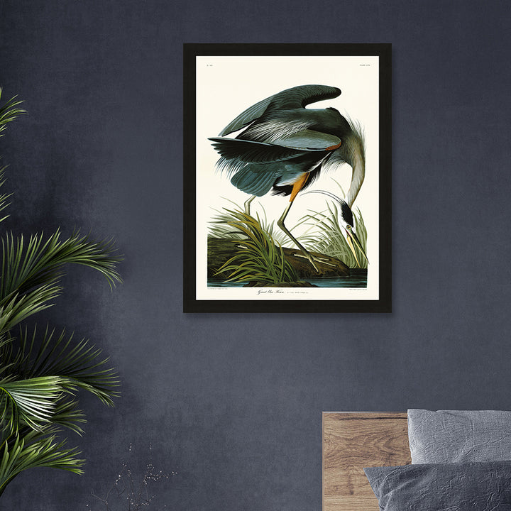 John James Audubon Great Blue Heron Pre Framed- 60x80cm The Art Group 2