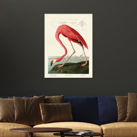 The Art Group John James Audubon American Flamingo Canvas Print