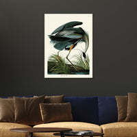 The Art Group John James Audubon Great Blue Heron Canvas Print