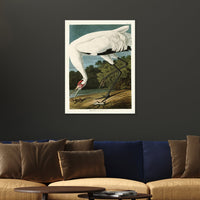 The Art Group John James Audubon Hooping Crane Canvas Print