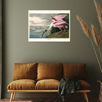 The Art Group John James Audubon Roseate Spoonbill Canvas Print