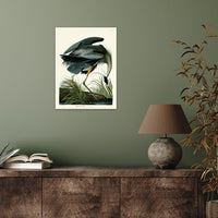 The Art Group John James Audubon Great Blue Heron Canvas Print