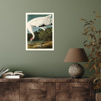 The Art Group John James Audubon Hooping Crane Canvas Print