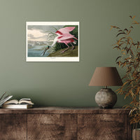 The Art Group John James Audubon Roseate Spoonbill Canvas Print