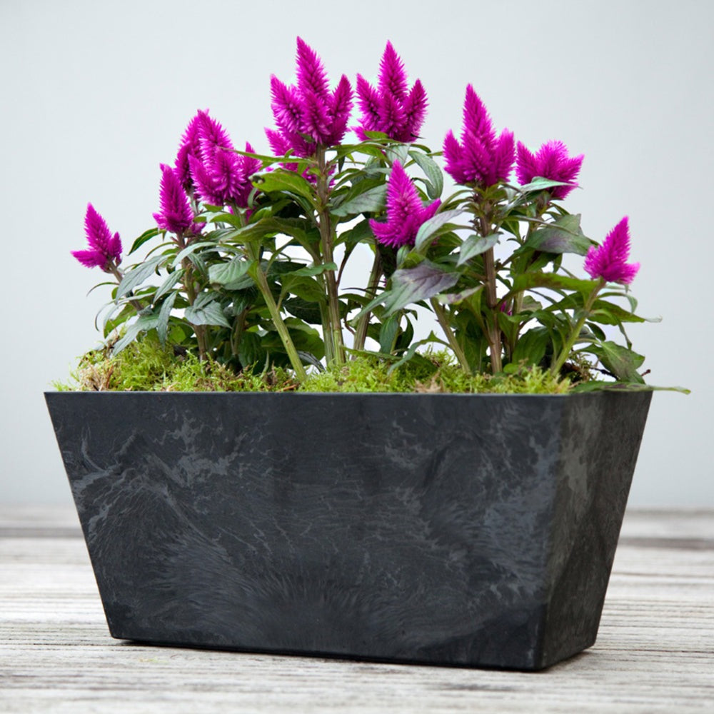 Ivyline Balcony Trough Ella Black