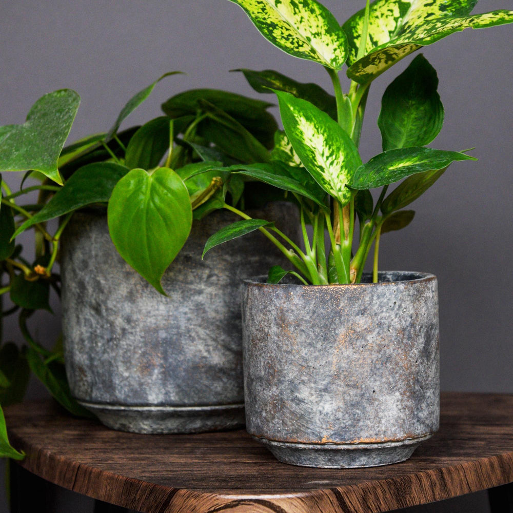ivyline plant pot Tivoli Planter - Earth
