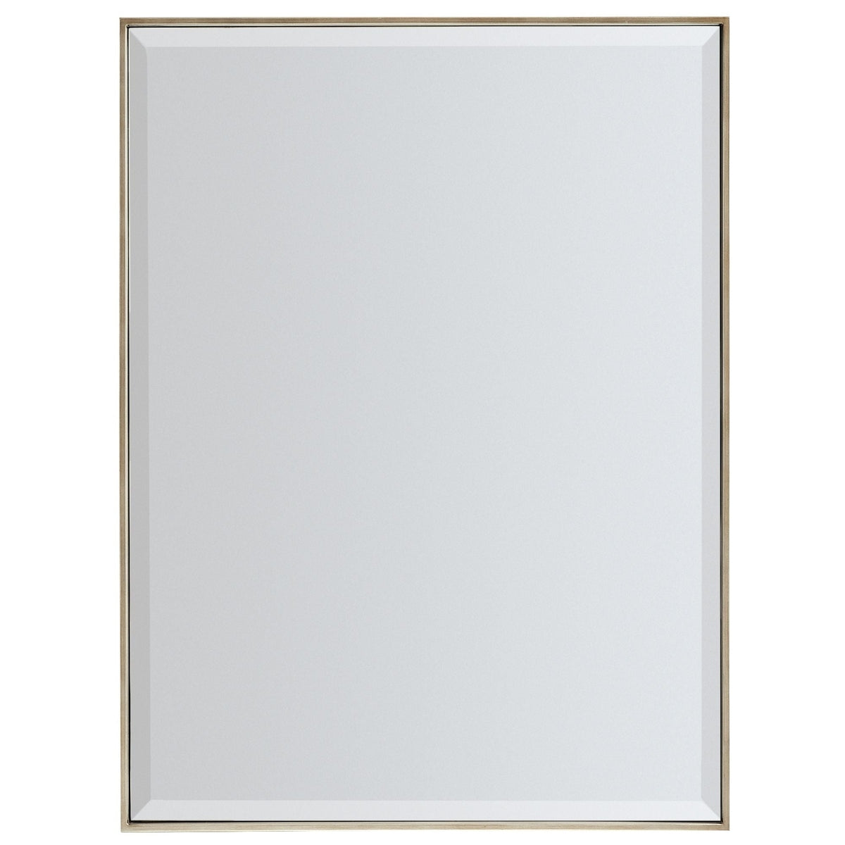 Caracole Modern Remix Rectangle Mirror Bronze Gold