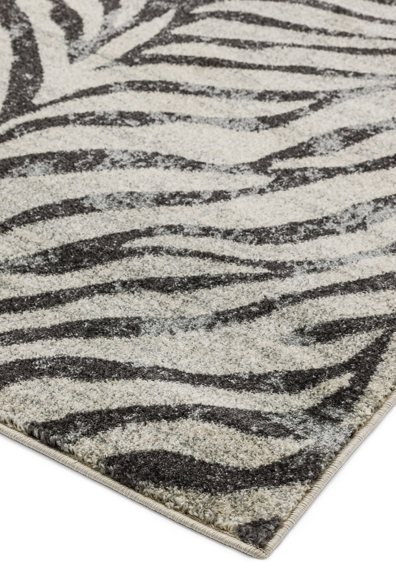  Asiatic Carpets-Asiatic Carpets Nova Machine Woven Rug Zebra Grey - 200 x 290cm-Grey, Silver 677 